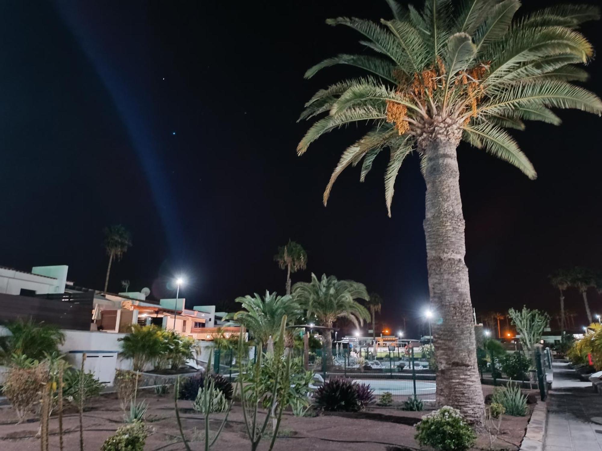 Sunny Bungalow With Garden #1 Maspalomas  Exteriör bild